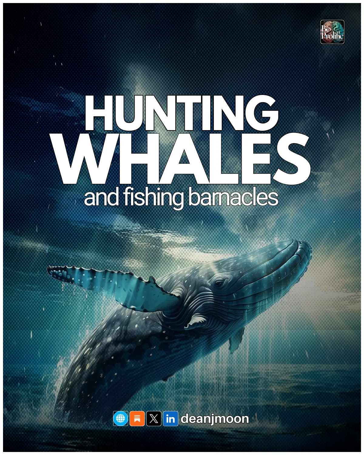 Whales & Barnacles