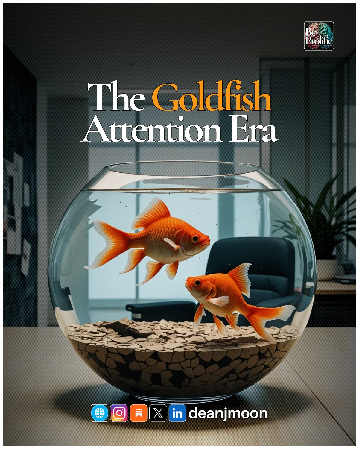 Goldfish Attention Era